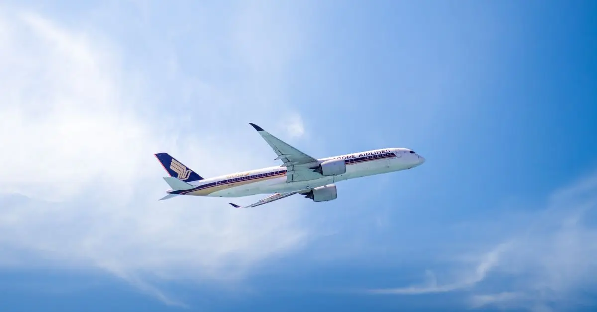 The Importance of Aerodynamics in Flying